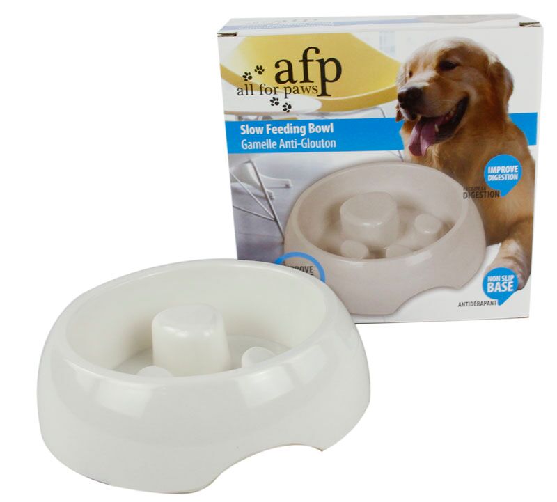 All For Paws Melamine Slow Feeding Bowl