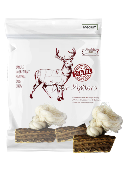 Absolute Bites Deer Antler with Rope Dental Dog Chew