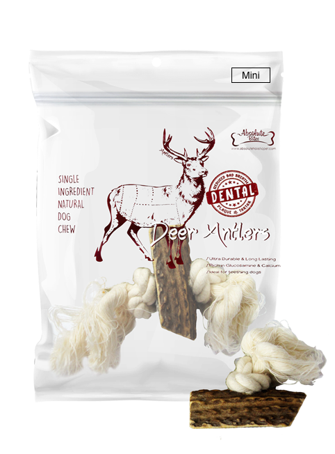 Absolute Bites Deer Antler with Rope Dental Dog Chew
