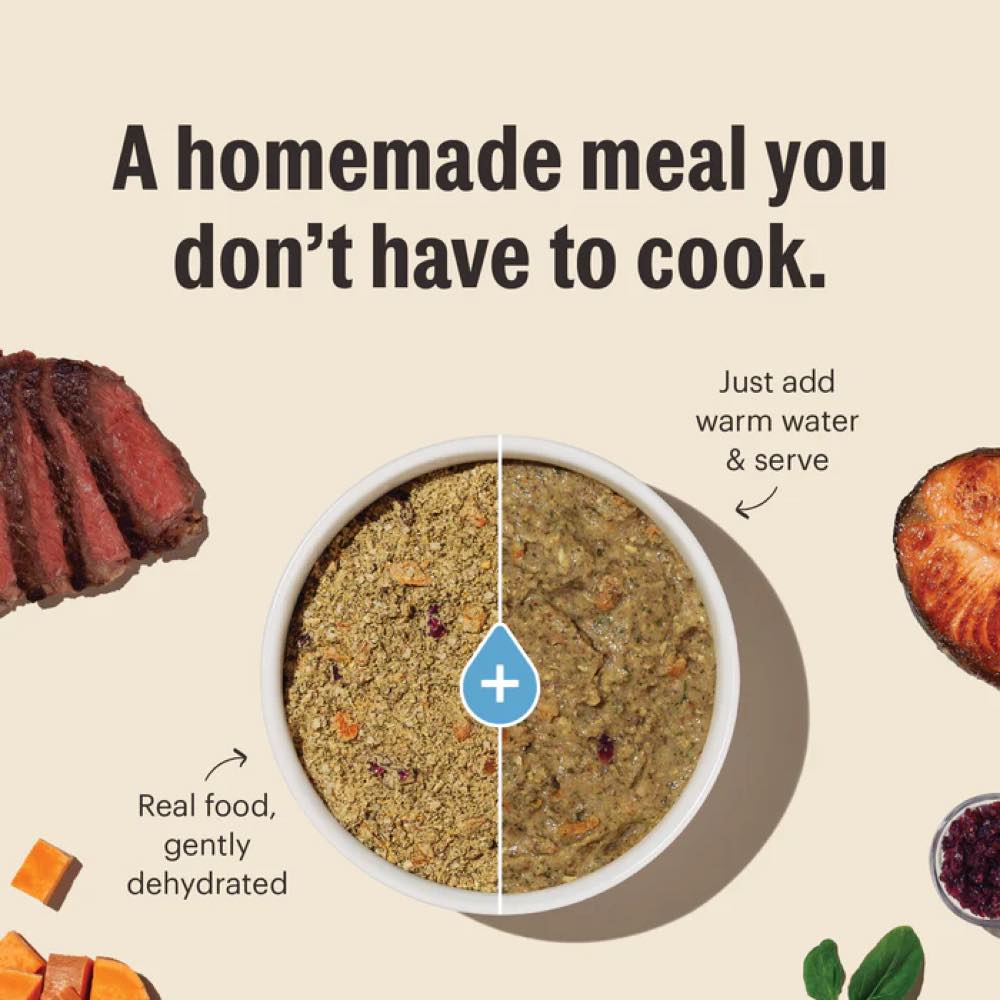 The Honest Kitchen Marvel Limited Ingredient Turkey Recipe Dehydrated Dog Food 10lb