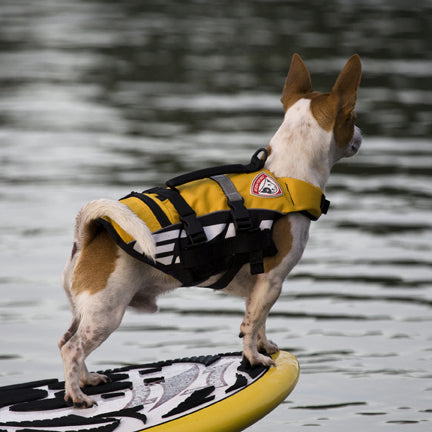 EzyDog Micro Doggy Floatation Vest 3XS