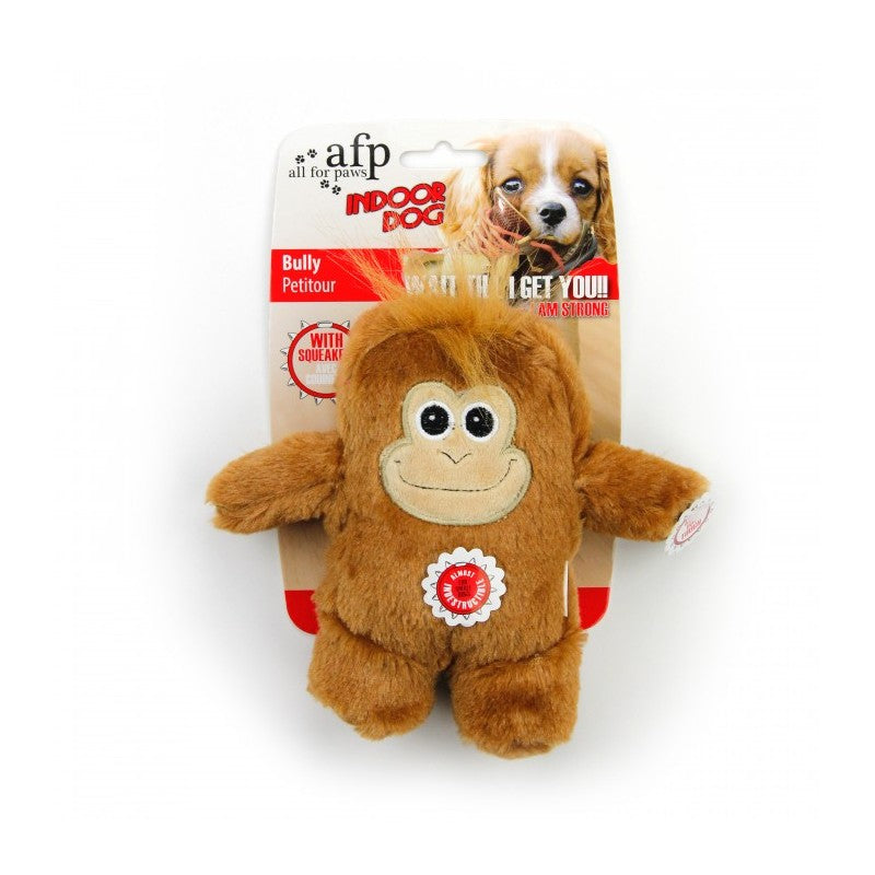 All For Paws Indoor Bully Dog Toy