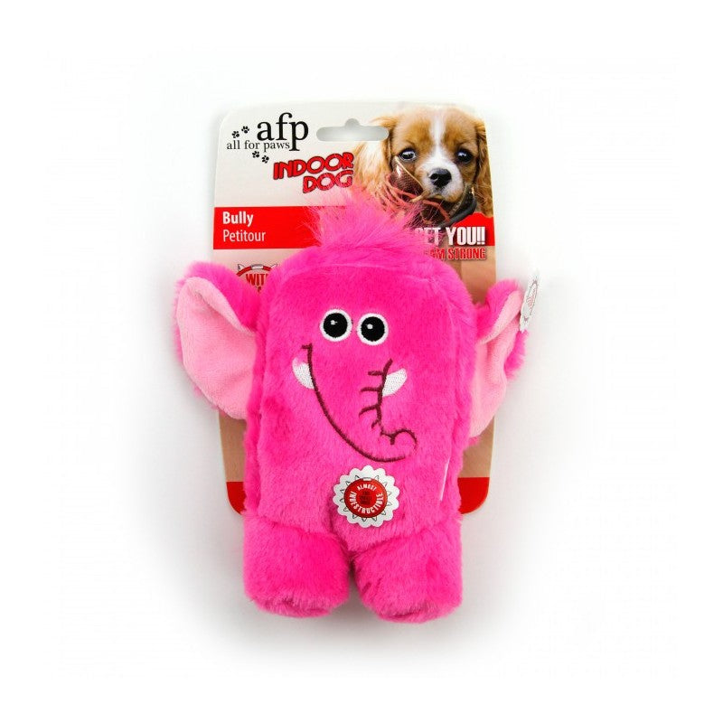 All For Paws Indoor Bully Dog Toy